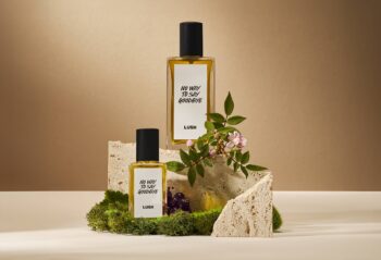 No Way to Say Goodbye